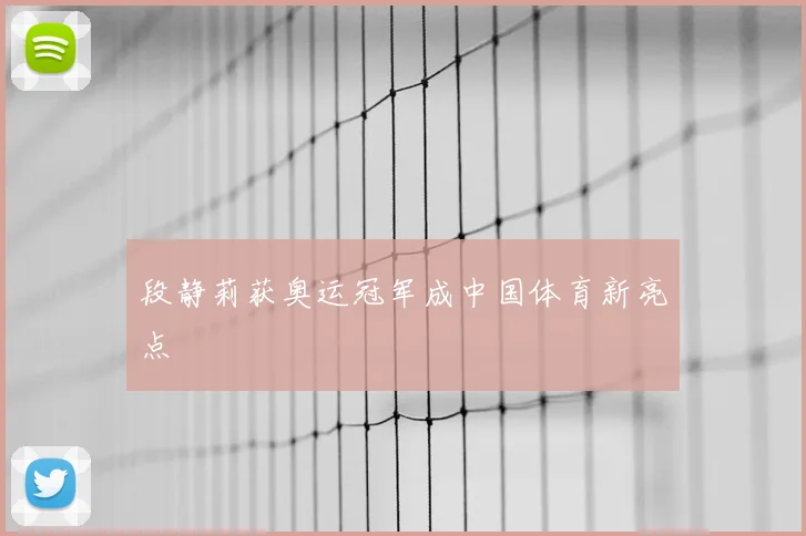 段静莉获奥运冠军成中国体育新亮点