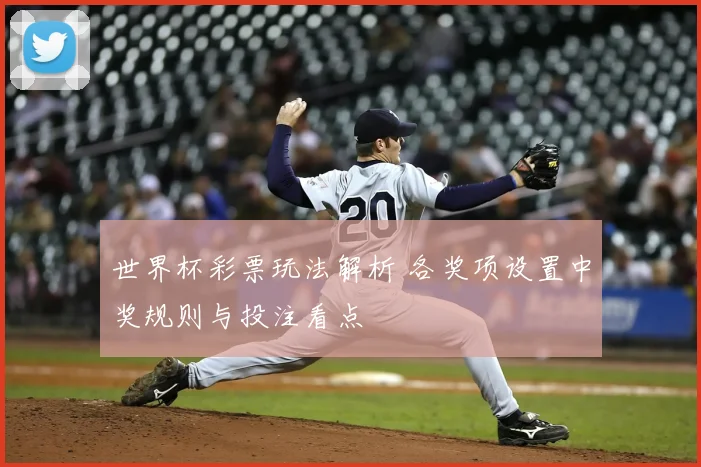 世界杯彩票玩法解析 各奖项设置中奖规则与投注看点