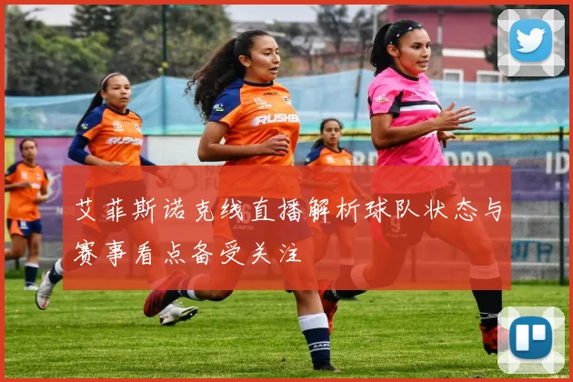 艾菲斯诺克线直播解析球队状态与赛事看点备受关注